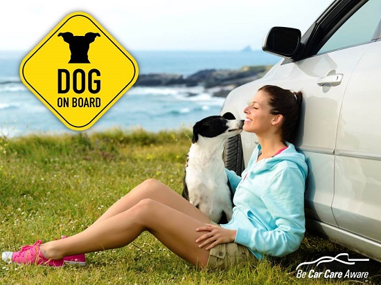 travel with pets,boise oil change coupon,nampa oil change coupon,eagle oil change coupon,garden city oil change coupon,einstein's oilery
